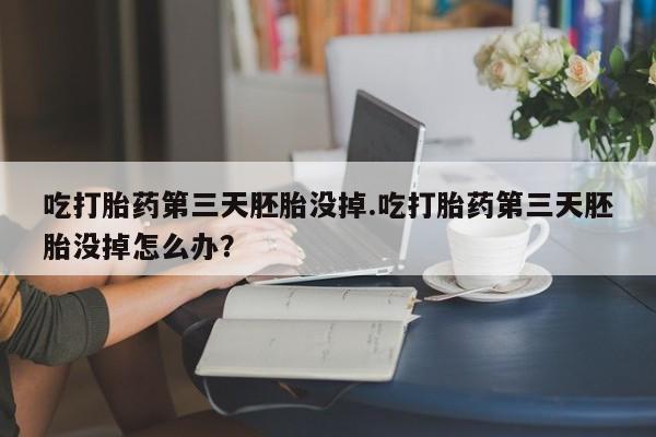 堕胎药购买吃打胎药第三天胚胎没掉.吃打胎药第三天胚胎没掉怎么办？