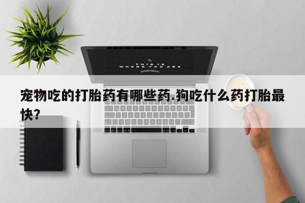 堕胎药购买宠物吃的打胎药有哪些药.狗吃什么药打胎最快？