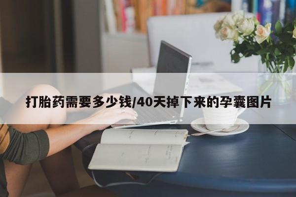 堕胎药购买打胎药需要多少钱/40天掉下来的孕囊图片